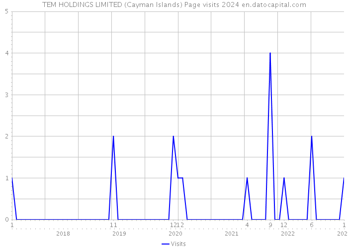 TEM HOLDINGS LIMITED (Cayman Islands) Page visits 2024 