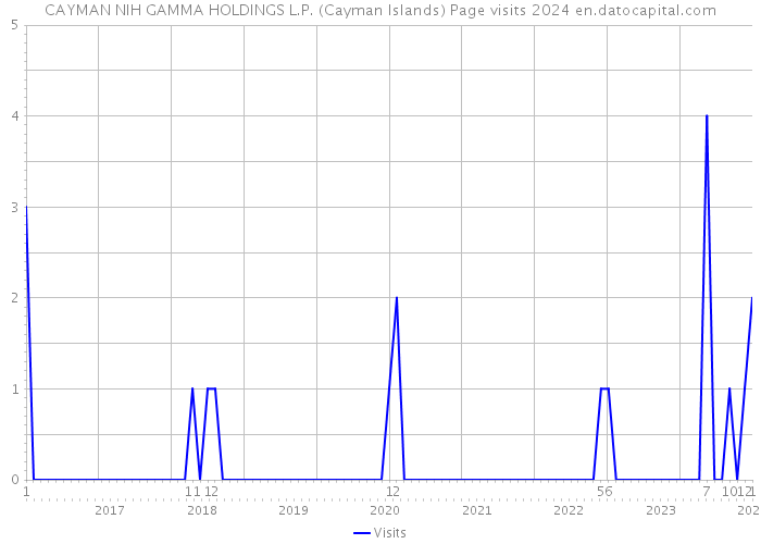 CAYMAN NIH GAMMA HOLDINGS L.P. (Cayman Islands) Page visits 2024 