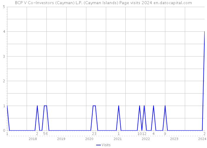 BCP V Co-Investors (Cayman) L.P. (Cayman Islands) Page visits 2024 