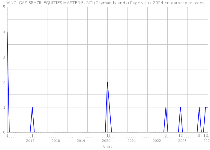 VINCI GAS BRAZIL EQUITIES MASTER FUND (Cayman Islands) Page visits 2024 