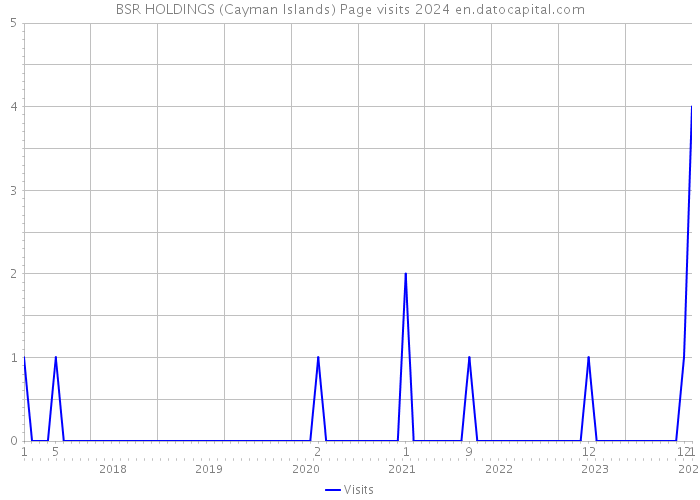 BSR HOLDINGS (Cayman Islands) Page visits 2024 