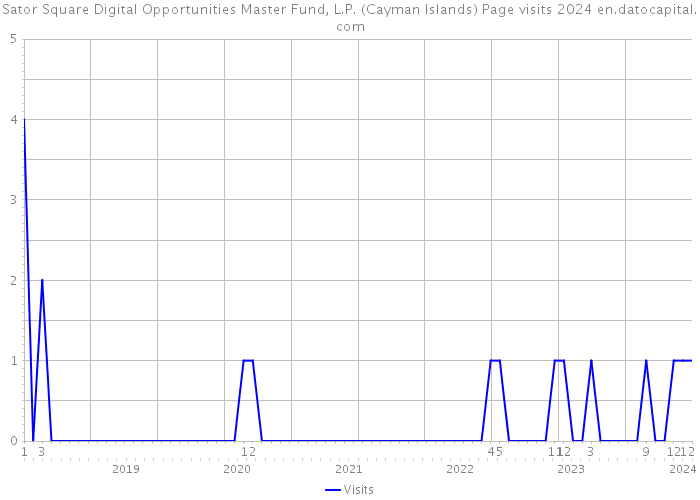 Sator Square Digital Opportunities Master Fund, L.P. (Cayman Islands) Page visits 2024 
