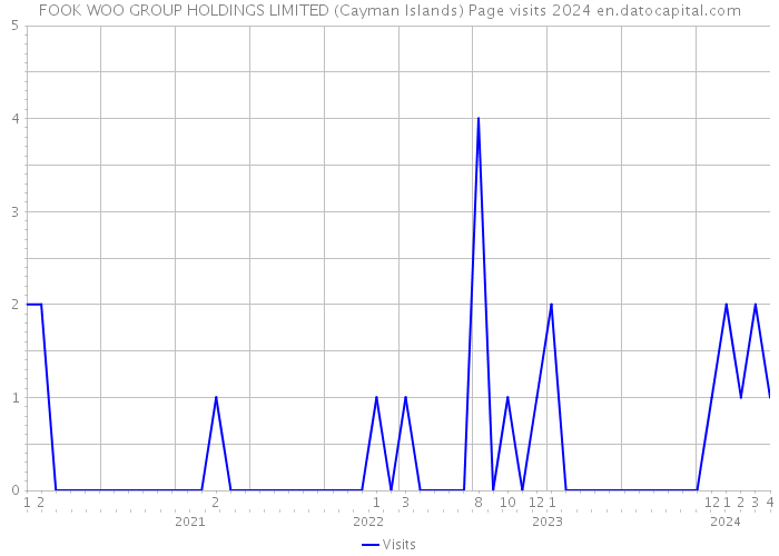 FOOK WOO GROUP HOLDINGS LIMITED (Cayman Islands) Page visits 2024 