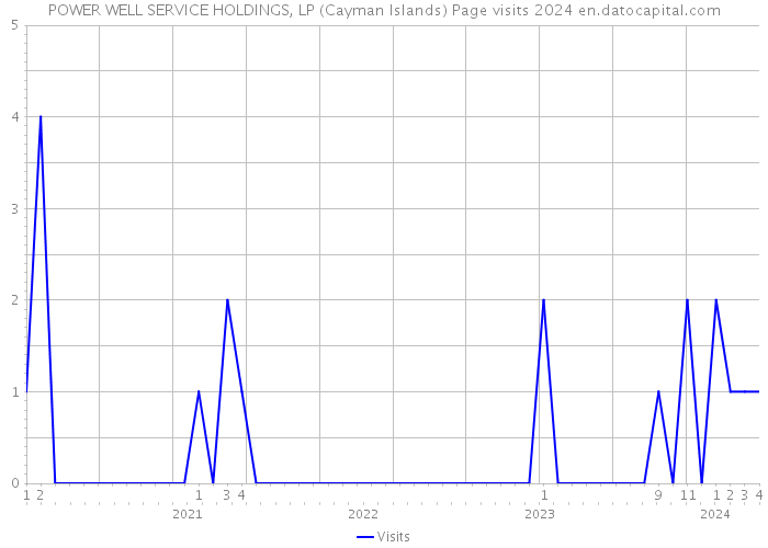 POWER WELL SERVICE HOLDINGS, LP (Cayman Islands) Page visits 2024 