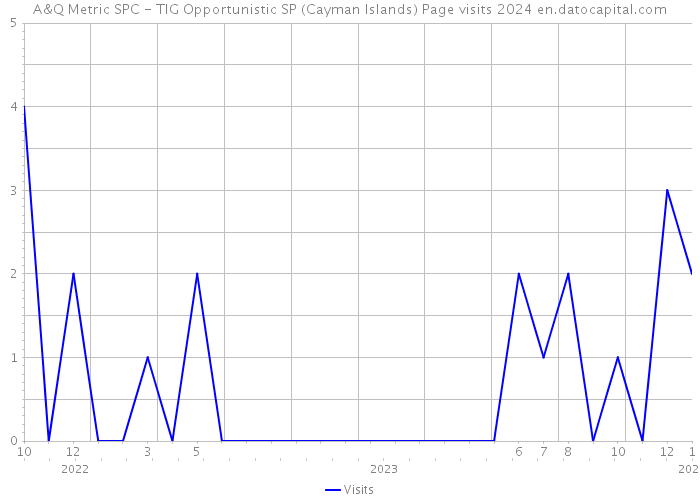 A&Q Metric SPC - TIG Opportunistic SP (Cayman Islands) Page visits 2024 