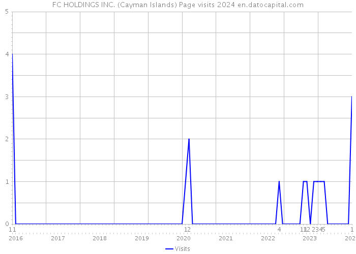 FC HOLDINGS INC. (Cayman Islands) Page visits 2024 