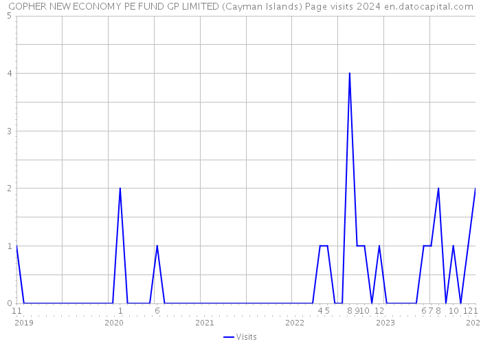 GOPHER NEW ECONOMY PE FUND GP LIMITED (Cayman Islands) Page visits 2024 