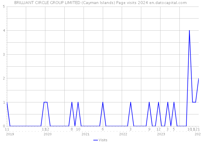 BRILLIANT CIRCLE GROUP LIMITED (Cayman Islands) Page visits 2024 