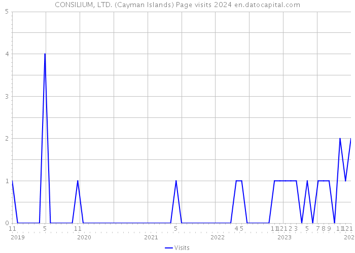CONSILIUM, LTD. (Cayman Islands) Page visits 2024 