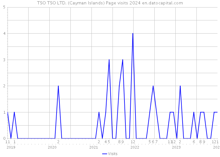 TSO TSO LTD. (Cayman Islands) Page visits 2024 