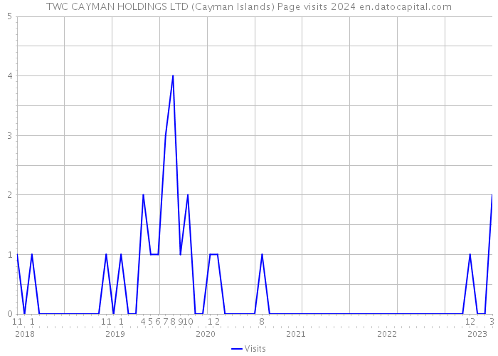 TWC CAYMAN HOLDINGS LTD (Cayman Islands) Page visits 2024 