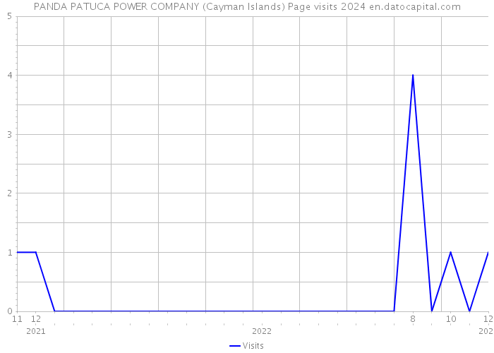 PANDA PATUCA POWER COMPANY (Cayman Islands) Page visits 2024 