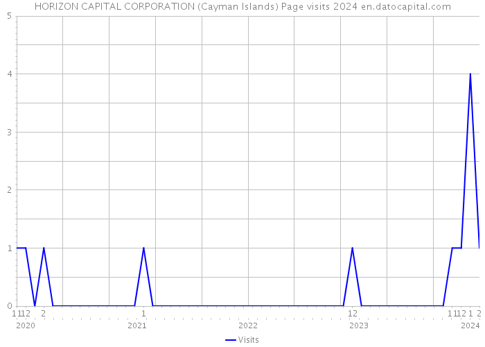 HORIZON CAPITAL CORPORATION (Cayman Islands) Page visits 2024 