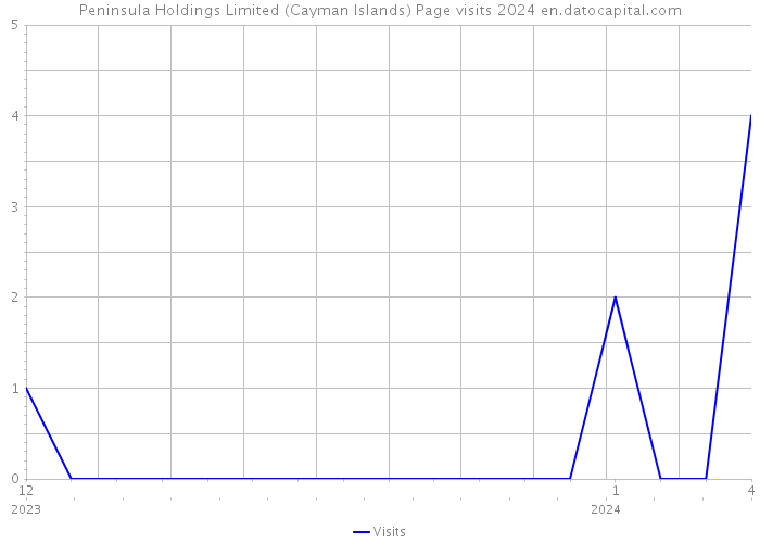 Peninsula Holdings Limited (Cayman Islands) Page visits 2024 