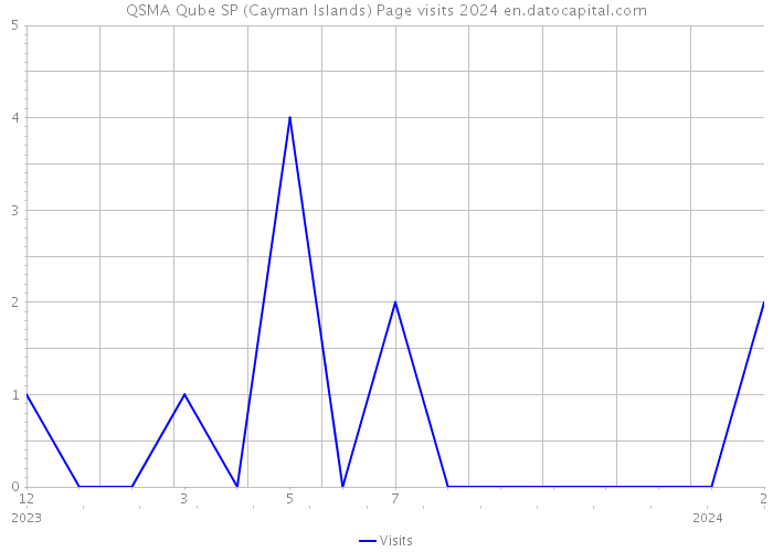 QSMA Qube SP (Cayman Islands) Page visits 2024 