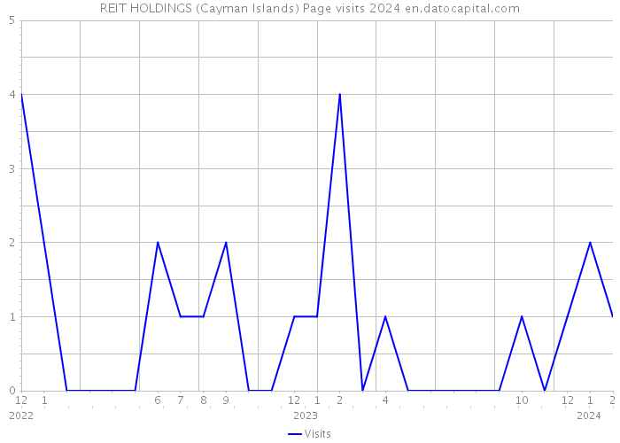REIT HOLDINGS (Cayman Islands) Page visits 2024 