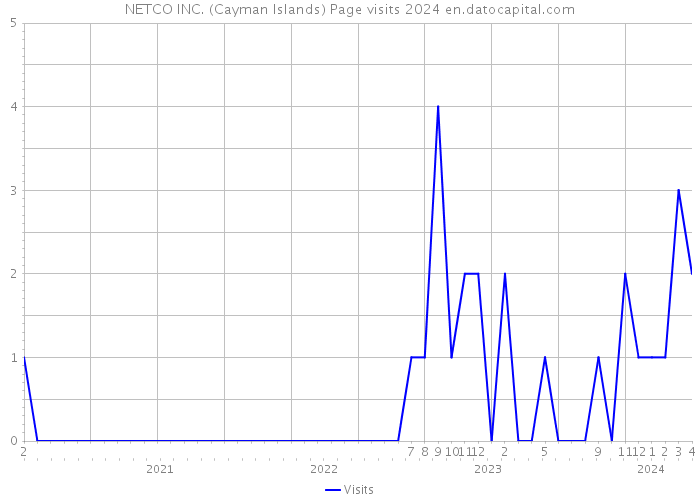 NETCO INC. (Cayman Islands) Page visits 2024 