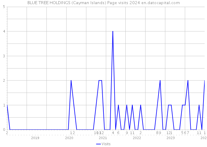 BLUE TREE HOLDINGS (Cayman Islands) Page visits 2024 
