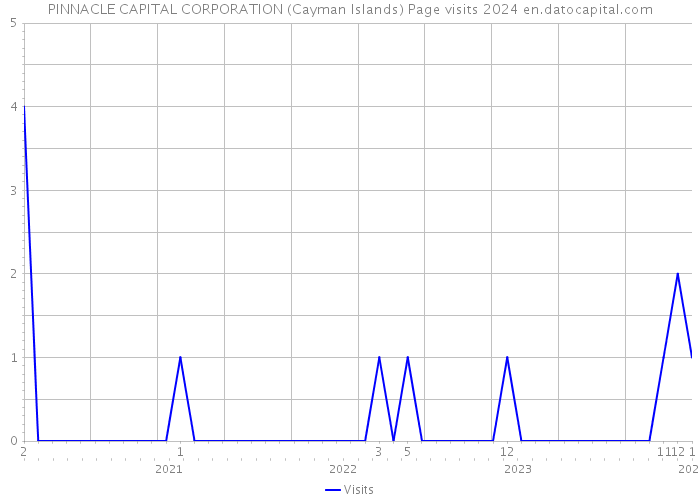 PINNACLE CAPITAL CORPORATION (Cayman Islands) Page visits 2024 