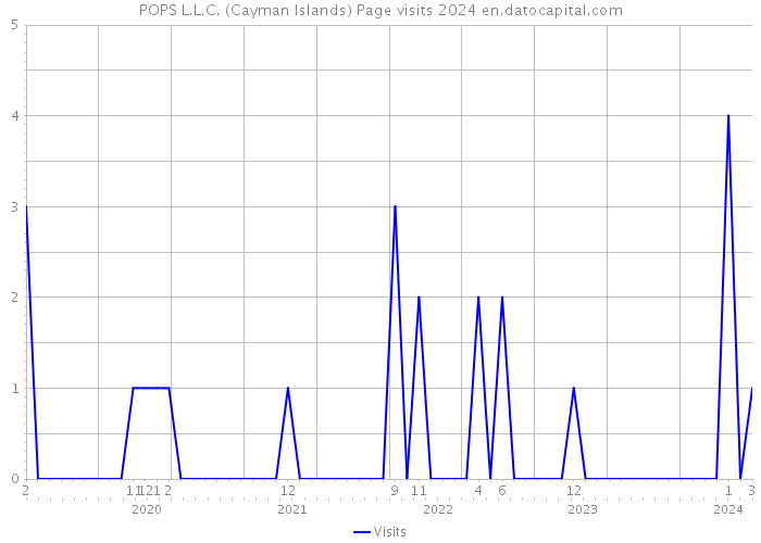 POPS L.L.C. (Cayman Islands) Page visits 2024 