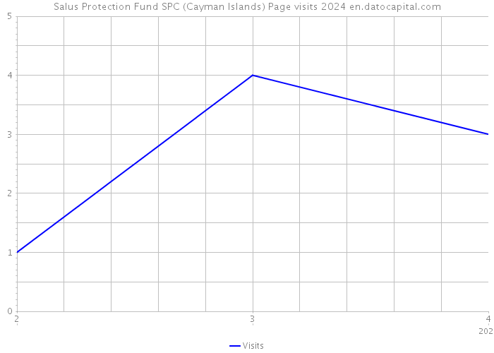 Salus Protection Fund SPC (Cayman Islands) Page visits 2024 