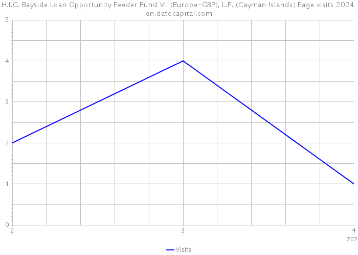 H.I.G. Bayside Loan Opportunity Feeder Fund VII (Europe-GBP), L.P. (Cayman Islands) Page visits 2024 