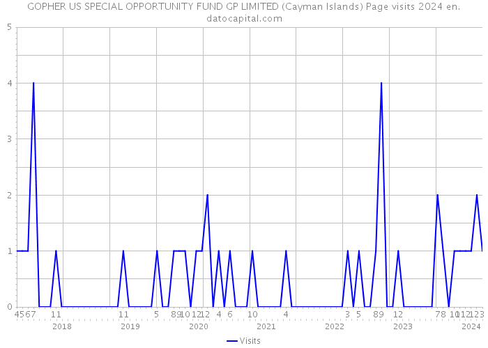 GOPHER US SPECIAL OPPORTUNITY FUND GP LIMITED (Cayman Islands) Page visits 2024 