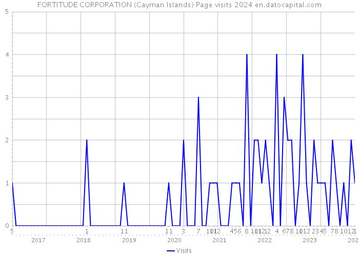 FORTITUDE CORPORATION (Cayman Islands) Page visits 2024 