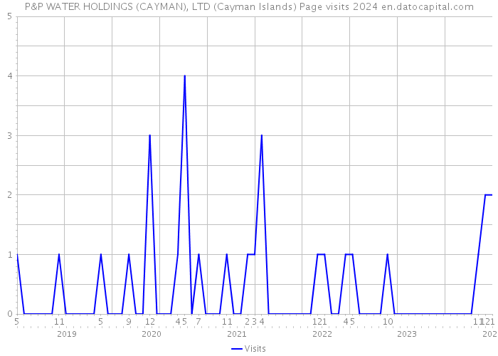 P&P WATER HOLDINGS (CAYMAN), LTD (Cayman Islands) Page visits 2024 