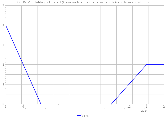 GSUM VIII Holdings Limited (Cayman Islands) Page visits 2024 
