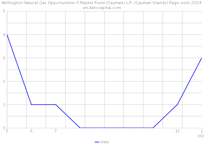 Wellington Natural Gas Opportunities II Master Fund (Cayman) L.P. (Cayman Islands) Page visits 2024 