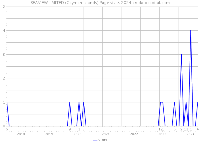 SEAVIEW LIMITED (Cayman Islands) Page visits 2024 