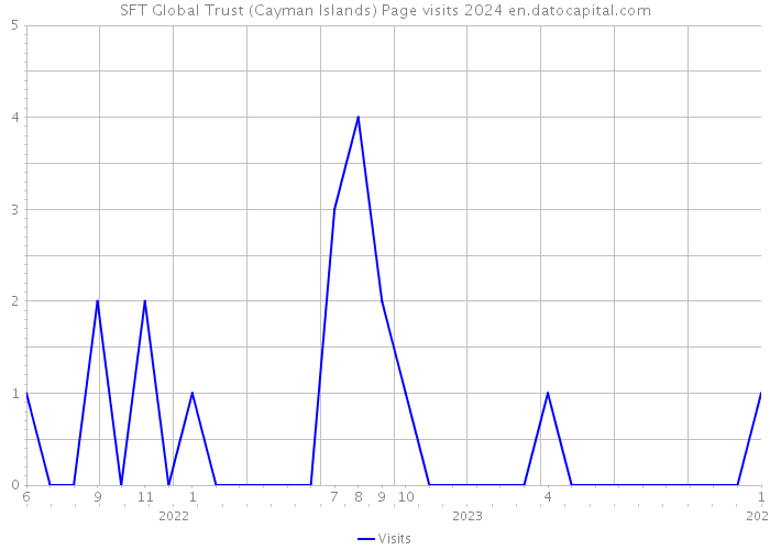 SFT Global Trust (Cayman Islands) Page visits 2024 