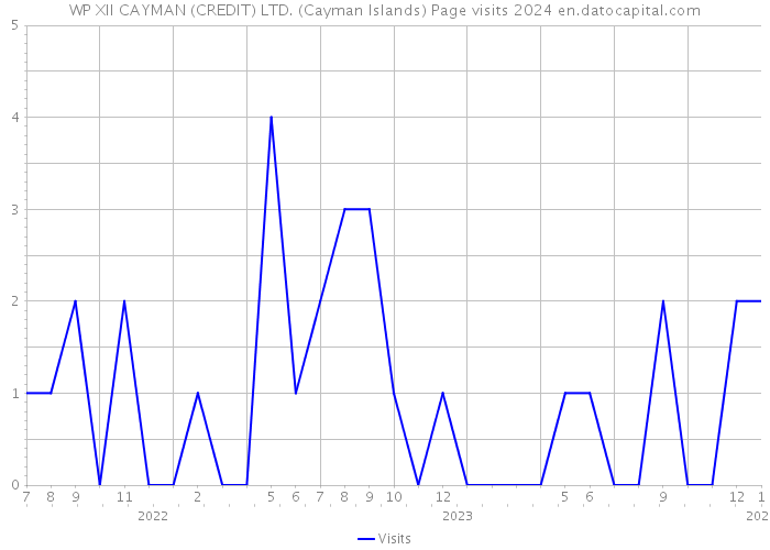 WP XII CAYMAN (CREDIT) LTD. (Cayman Islands) Page visits 2024 