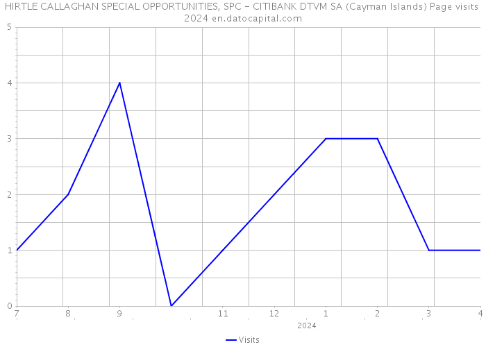 HIRTLE CALLAGHAN SPECIAL OPPORTUNITIES, SPC - CITIBANK DTVM SA (Cayman Islands) Page visits 2024 