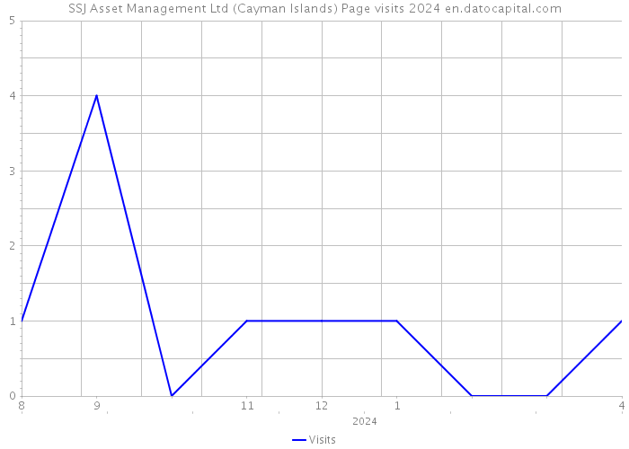 SSJ Asset Management Ltd (Cayman Islands) Page visits 2024 