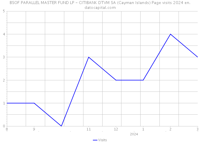 BSOF PARALLEL MASTER FUND LP - CITIBANK DTVM SA (Cayman Islands) Page visits 2024 