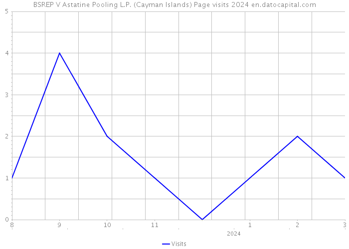 BSREP V Astatine Pooling L.P. (Cayman Islands) Page visits 2024 