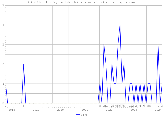 CASTOR LTD. (Cayman Islands) Page visits 2024 
