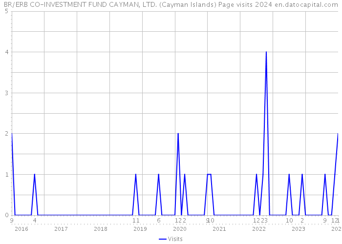 BR/ERB CO-INVESTMENT FUND CAYMAN, LTD. (Cayman Islands) Page visits 2024 