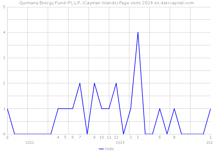 Quintana Energy Fund-FI, L.P. (Cayman Islands) Page visits 2024 