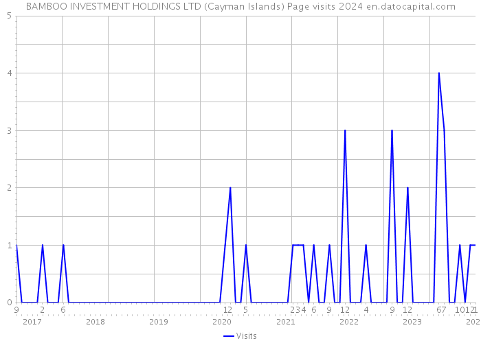 BAMBOO INVESTMENT HOLDINGS LTD (Cayman Islands) Page visits 2024 