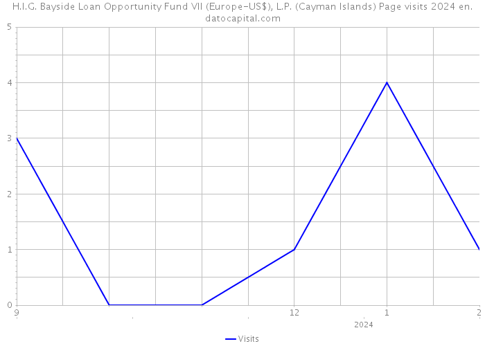 H.I.G. Bayside Loan Opportunity Fund VII (Europe-US$), L.P. (Cayman Islands) Page visits 2024 