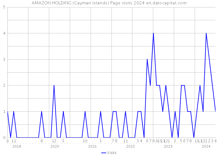 AMAZON HOLDING (Cayman Islands) Page visits 2024 