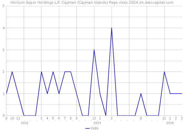 Horizon Super Holdings L.P. Cayman (Cayman Islands) Page visits 2024 