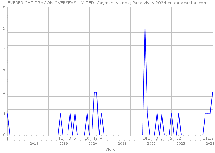 EVERBRIGHT DRAGON OVERSEAS LIMITED (Cayman Islands) Page visits 2024 