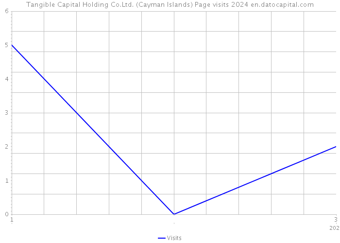 Tangible Capital Holding Co.Ltd. (Cayman Islands) Page visits 2024 