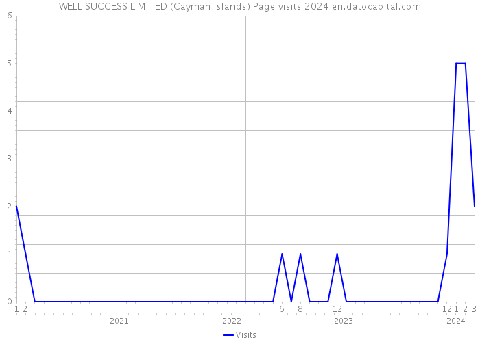 WELL SUCCESS LIMITED (Cayman Islands) Page visits 2024 