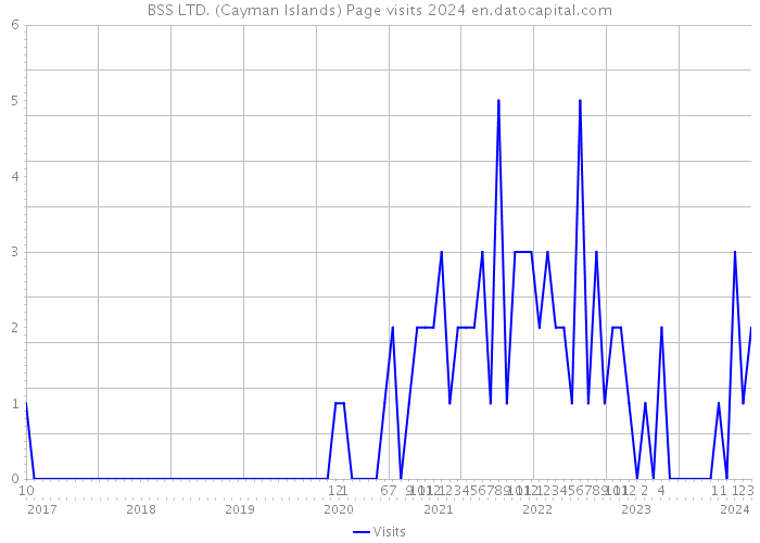 BSS LTD. (Cayman Islands) Page visits 2024 