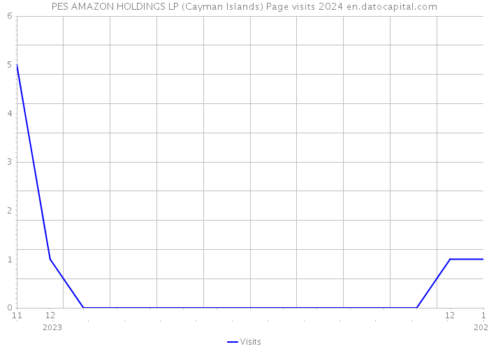 PES AMAZON HOLDINGS LP (Cayman Islands) Page visits 2024 